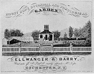 Ellwanger & Barry nursery advertisement