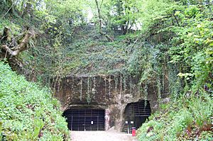 Entrance to Beer Quarry Caves (geograph 3503071)