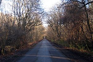 Etchden Road - geograph.org.uk - 1076454.jpg