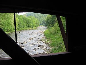 Forksville Covered Bridge Window