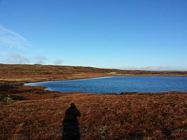 An upland lake surrounded by peat grass