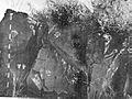 Fusselman Canyon Rock Art