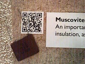 Geology Exhibits QR Coded Derby Museum Muscovite obscured QR
