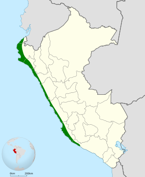 Geositta peruviana map.svg