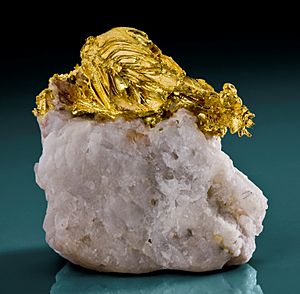 Gold on quartz, Mockingbird Mine near Mt. Bullion