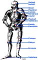 Gothic armour with list of elements