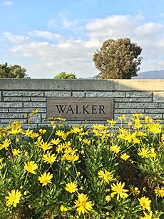 Grave of Paul Walker