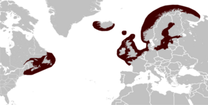 Grey Seal Halichoerus grypus distribution map.png