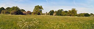 Ham Lands, off Riverside Drive, Richmond