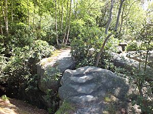 High Rocks on top 4117