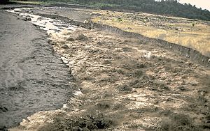 Hot lahar at Santiaguito