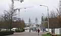 IMG 0557w