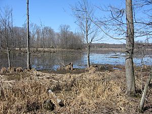 Image-Great Swamp National Wildlife Refuge New Jersey03