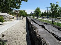 Jardin botanique de Bordeaux 7