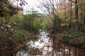 Johns Creek (Chattahoochee River) at Findley Road, Nov 2017 2.jpg