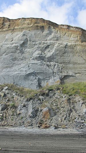Kai Iwi Cliff 1