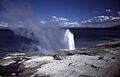 LakeshoreGeyser-Robinson