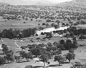 LanyonStationAerialView1950