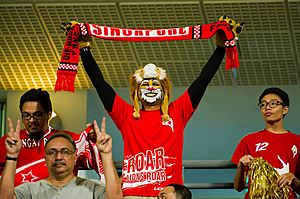 LionsXII supporters at a home game - 2013