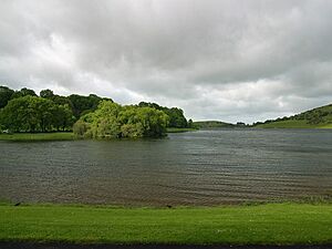 Lough gur