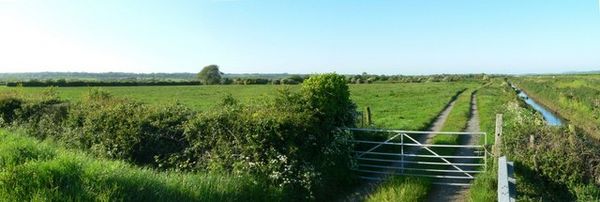 Malltraeth Marsh or Cors Ddyga near Morfa Brennin. - geograph.org.uk - 177498