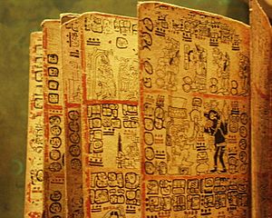 Mexico - Museo de antropologia - Livre maya