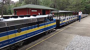 Michigan AuSable Valley Railroad Slug unit
