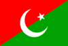 Millat Party Pakistan Flag.svg
