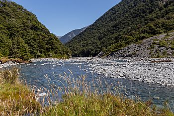 Mingha River, New Zealand 06.jpg