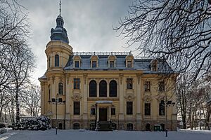 Neobarokowy pałac Schoena w Sosnowcu w zimie, widok od strony północnej- siedziba muzeum