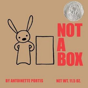 Not a Box.jpg