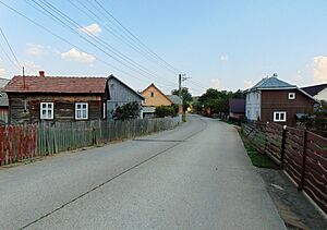 Nowy Sołoniec (Rumunia), Solonețu Nou 09