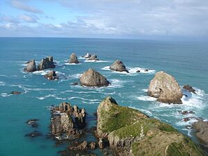 Nugget Point on Sunny Day