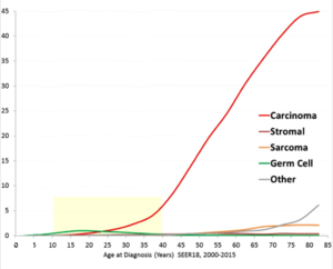 Ovarian cancer incidence by age and type