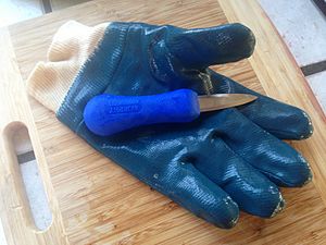 Oyster knife and glove