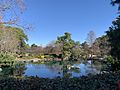 Pond in Auburn Botanic Garden