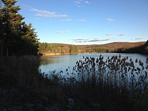 Portland Reservoir, Reeves Lookout State Wildlife Area, Meshomasic State Forest, Portland, CT - 3