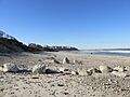 Priscilla Beach MA
