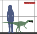 Proceratosaurus estimated size