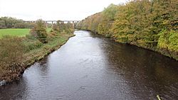 River Ayr from Gadgirth Bridge, By Annbank, South Ayrshire. Gadgirth Woods.jpg
