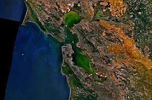 San Francisco Bay NASA World Wind Globe