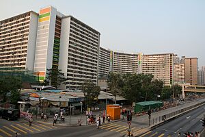 Sha Tin Wai Sha Kok Estate Sand Martin House