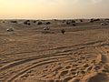 Sharjah desert 1