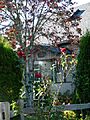 Sherman Residence