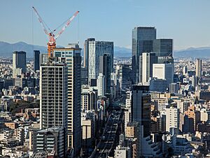 Shibuya seen from Roppongi Hills Mori Tower on a clear winter day 2