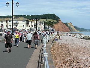 Sidmouth seafront devon arp