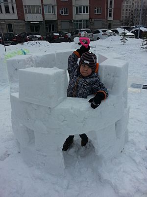Snow castle