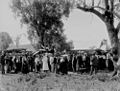 StateLibQld 1 117176 Crowd attending Pittsworth Races , ca. 1912