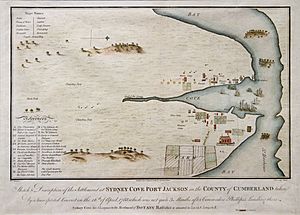 Sydney Cove, Port Jackson in the County of Cumberland - F. F. delineavit, 1769