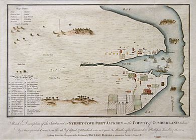 Sydney Cove, Port Jackson in the County of Cumberland - F. F. delineavit, 1769